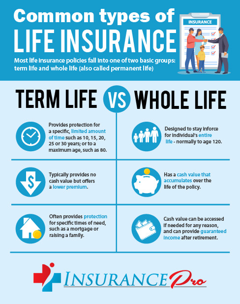 Term Life Insurance Is The Most Affordable Insurance Policy You Can Buy. Although There Are Many Kinds.